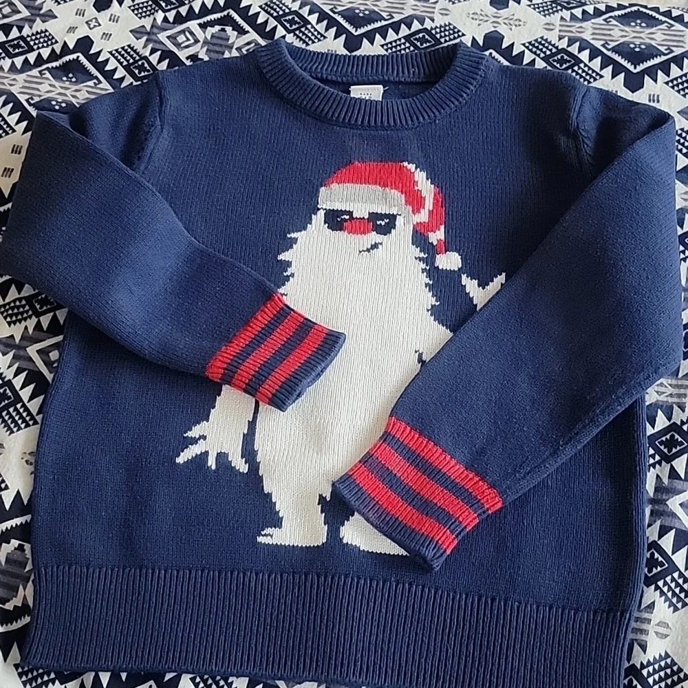 GAP Kids Little Boys Sweaters Lot of Two (2)